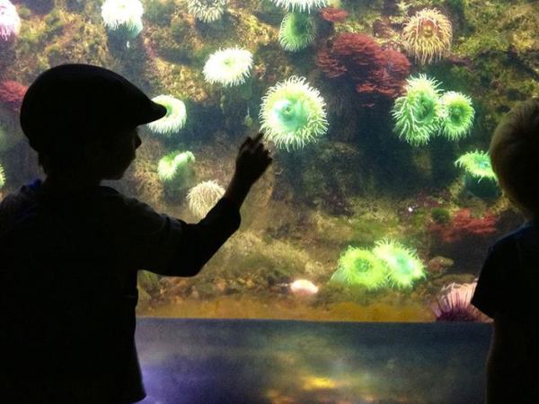 Teaching key to better ocean protection, says UNESCO&nbsp;chief