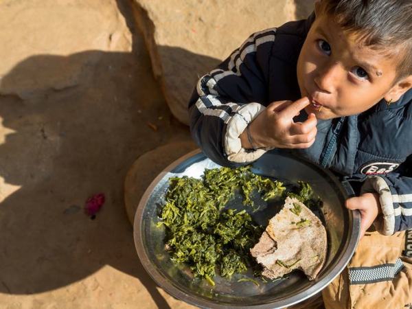 ‘Coalition of the willing’ to ensure healthy diets from sustainable food&nbsp;systems