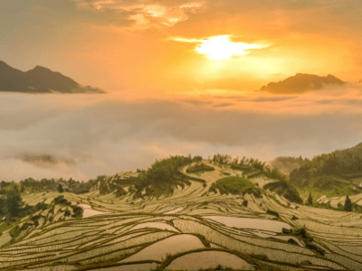 National Conference Focuses on Poverty Alleviation&nbsp;Efforts