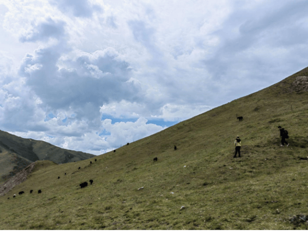 Evaluating the Sustainability of Tibetan Communities in the Three-River-Source Region 