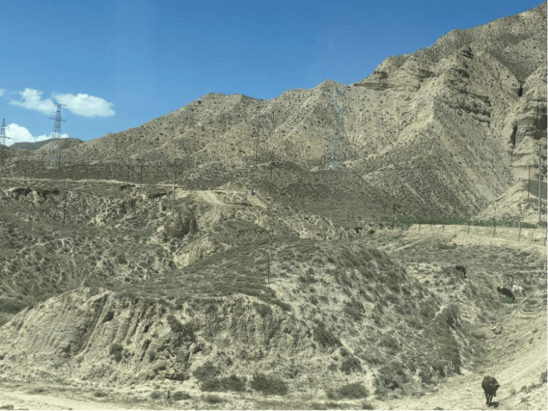 Climate Change and Grassland Restoration in Qinghai: Current Status and Challenges 
