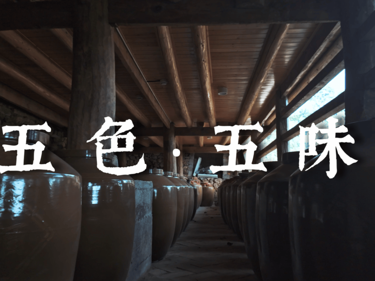 纪录片《五色五味》